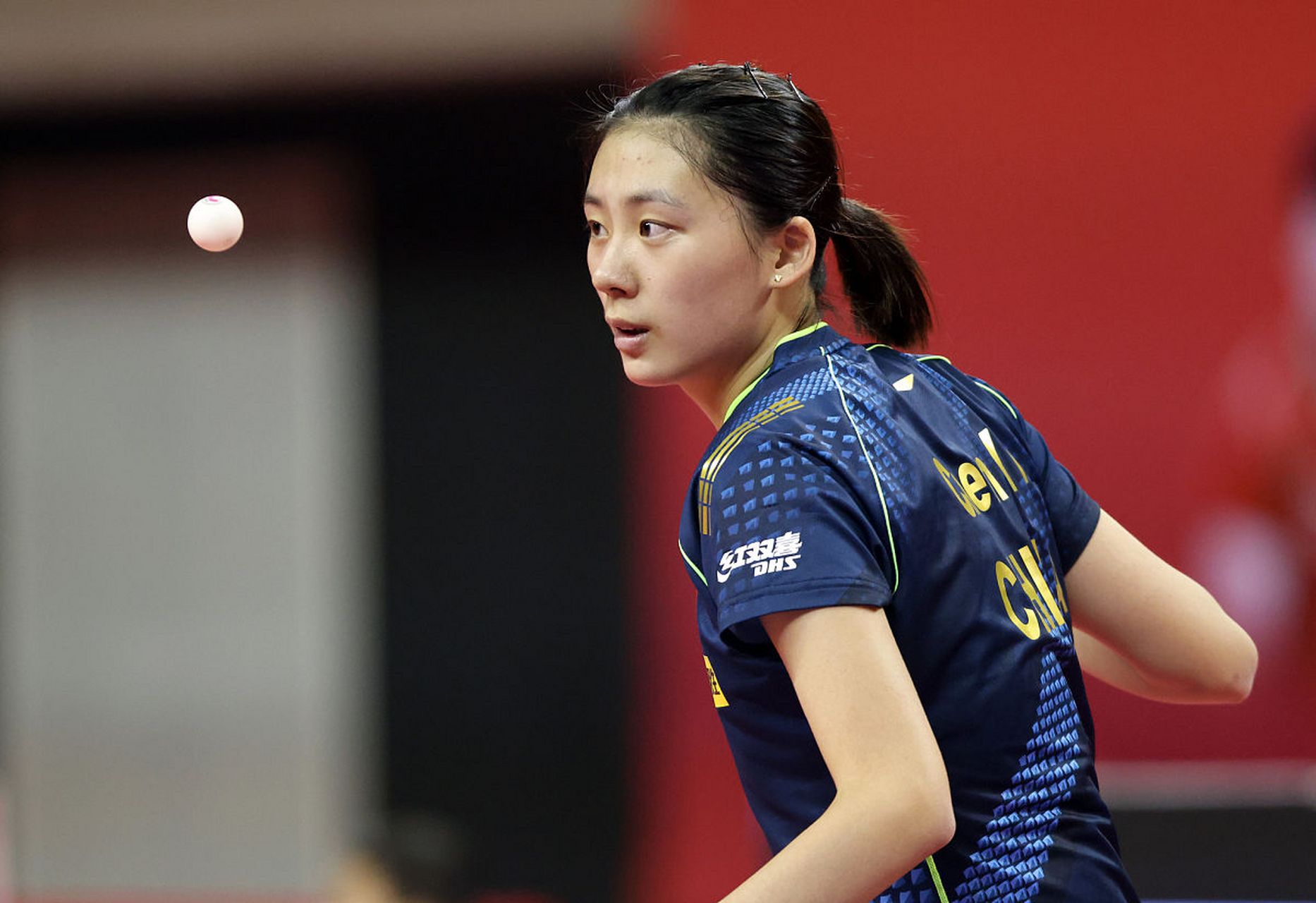 年的世预赛 年的世预赛