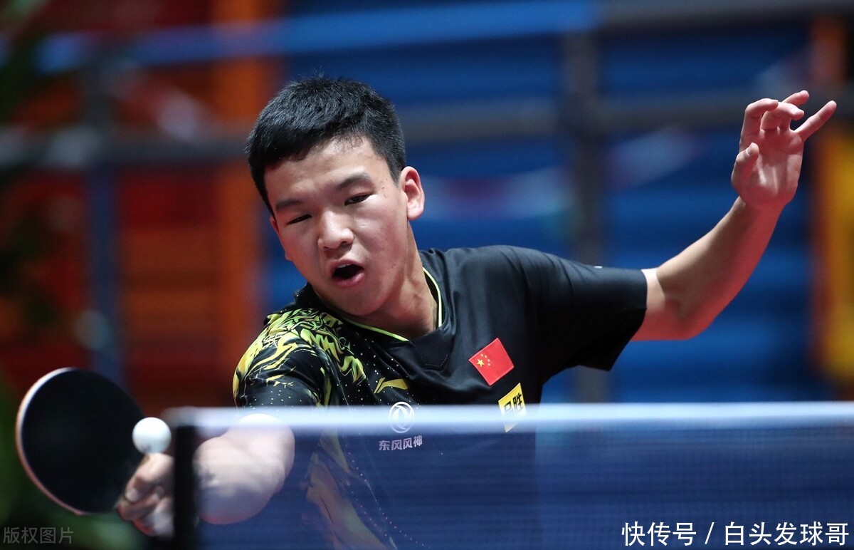 不仅展现了 不仅展现了