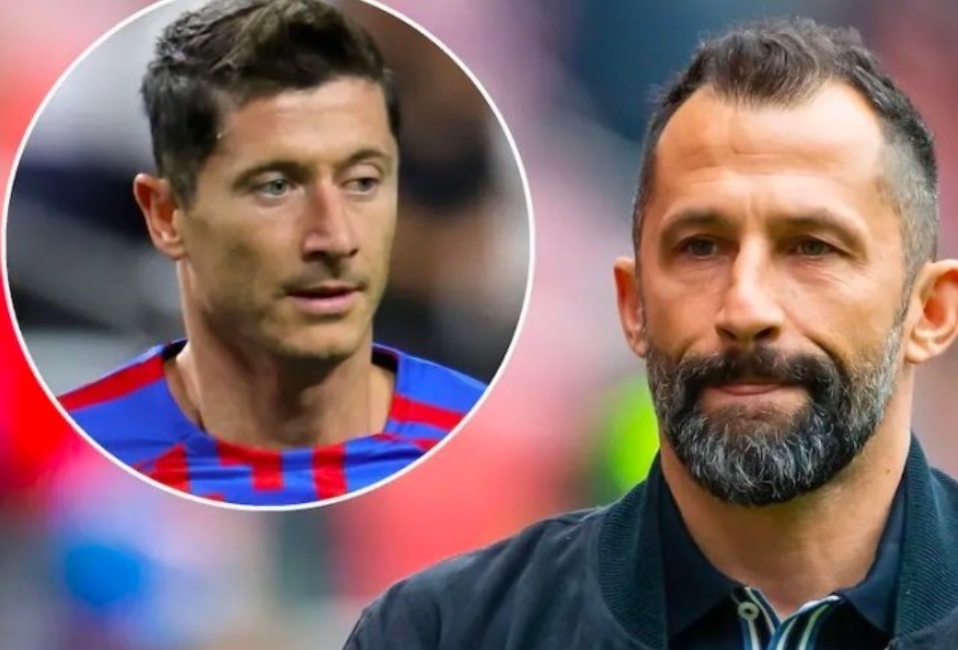 队伍生态 队伍生态